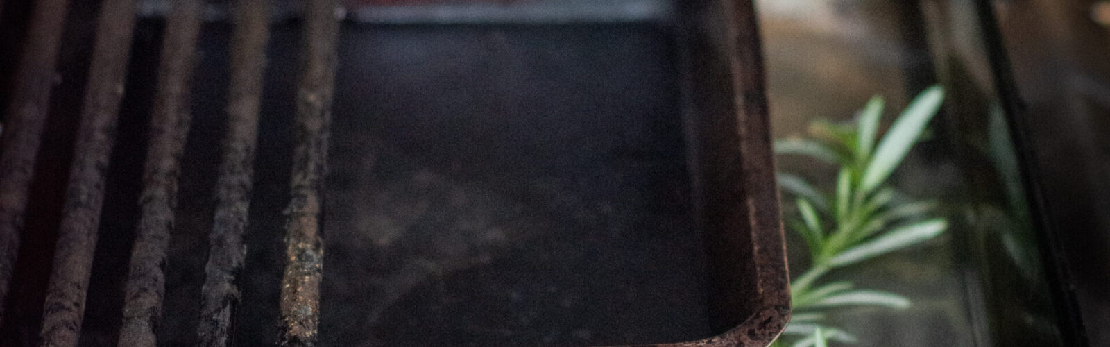 Roasteasy Header Image
